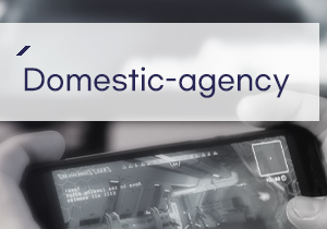 m_domestic
